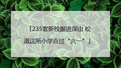 235套新校服进深山 松滋这所小学喜过“六一”