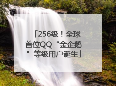 256级！全球首位QQ“金企鹅”等级用户诞生