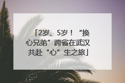 2岁、5岁！“换心兄弟”跨省在武汉共赴“心”生之旅
