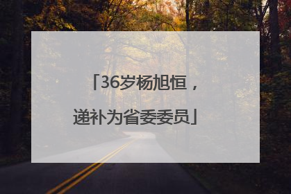 36岁杨旭恒，递补为省委委员