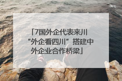 7国外企代表来川 “外企看四川”搭建中外企业合作桥梁