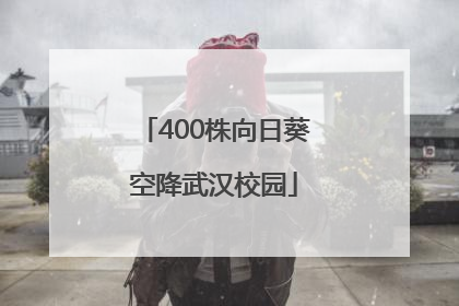 400株向日葵空降武汉校园