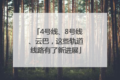 4号线、8号线、云巴，这些轨道线路有了新进展