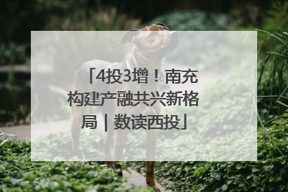 4投3增！南充构建产融共兴新格局｜数读西投