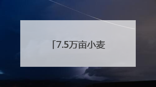 7.5万亩小麦喜开夏收第一镰