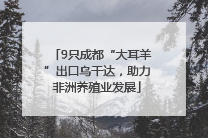 9只成都“大耳羊”出口乌干达，助力非洲养殖业发展
