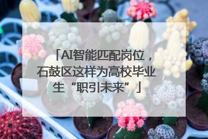 AI智能匹配岗位，石鼓区这样为高校毕业生“职引未来”