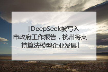 DeepSeek被写入市政府工作报告，杭州将支持算法模型企业发展